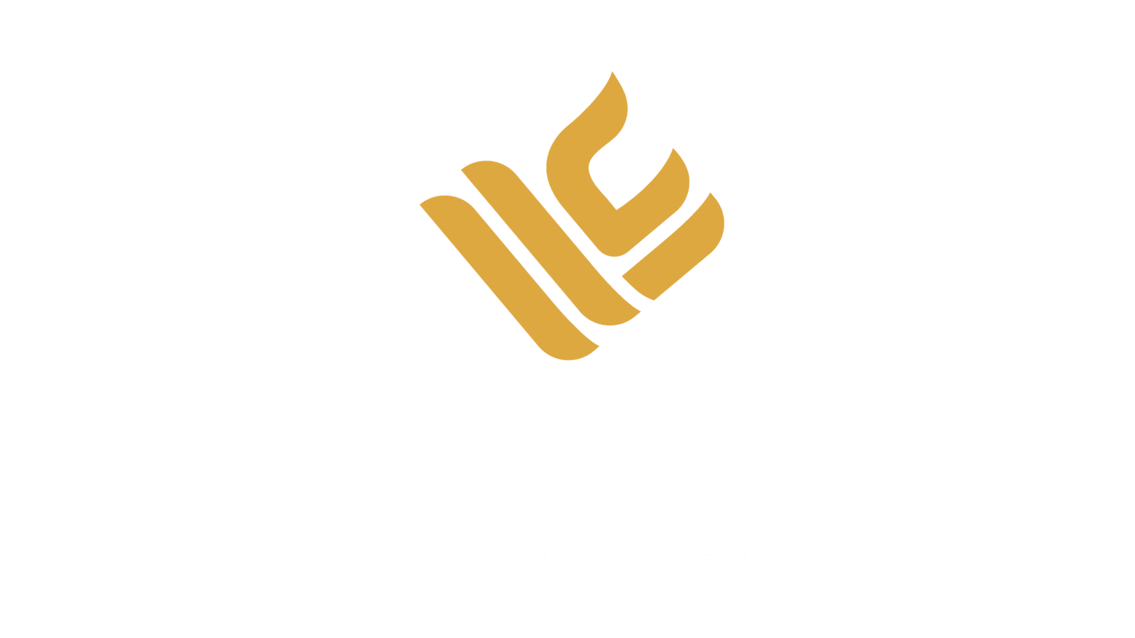 Vital Learning Edge Logo